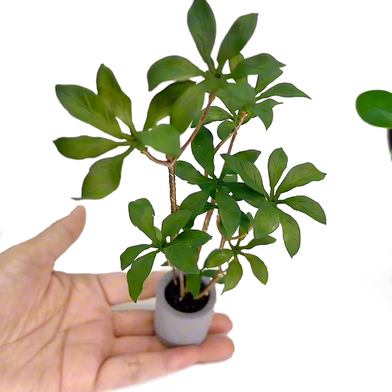 1:6 Dollhouse Miniature Potted - огляд і ціна Bonsai Garden House
