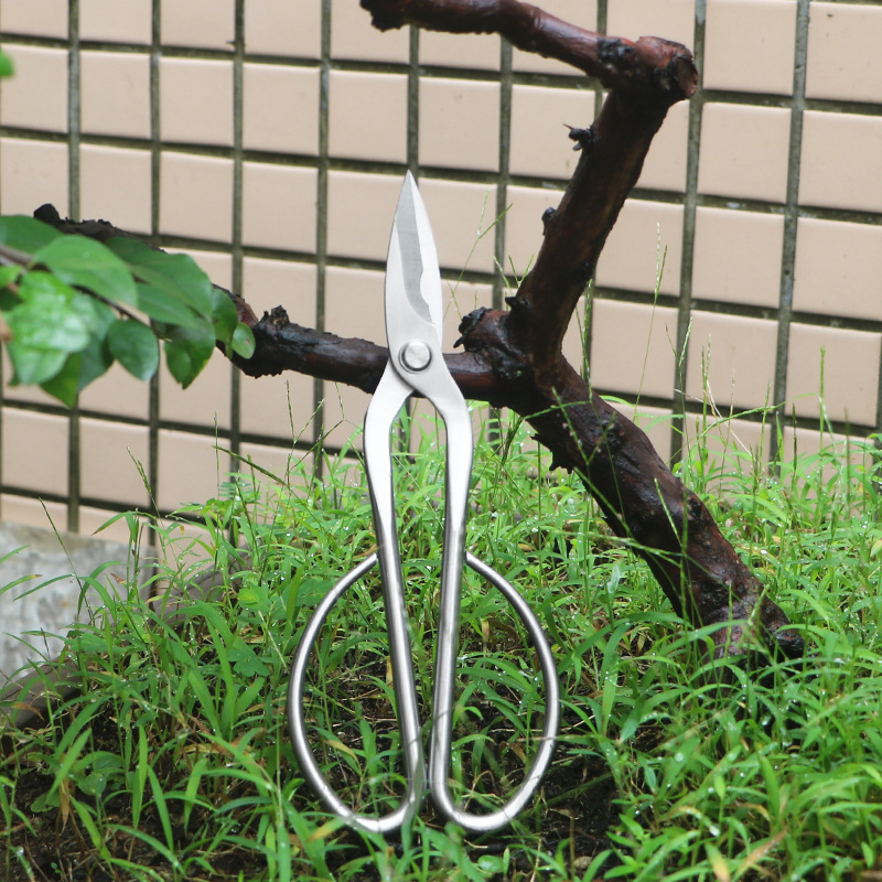 All-steel garden shears, folia - огляд і ціна Bonsai Tool Set