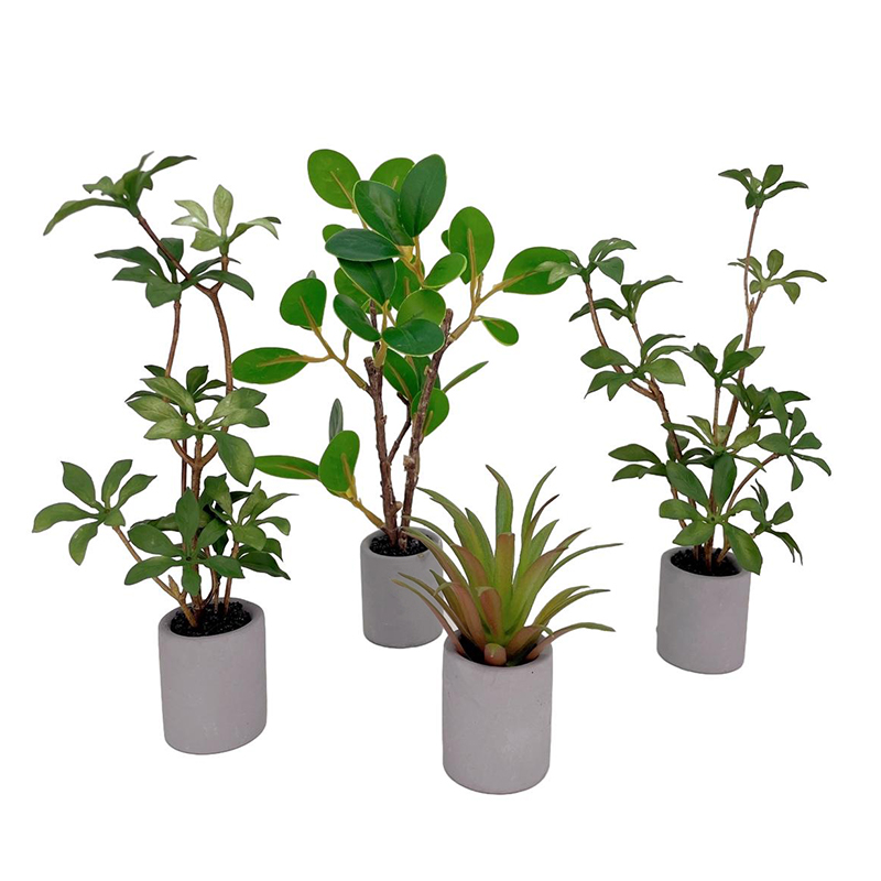 1:6 Dollhouse Miniature Potted - огляд і ціна Bonsai Garden House