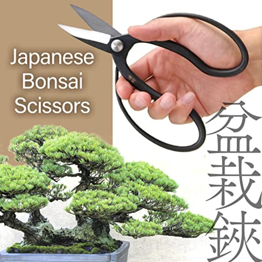 Japanese Suiryu Bonsai Scissor - огляд і ціна Bonsai Garden In Japan