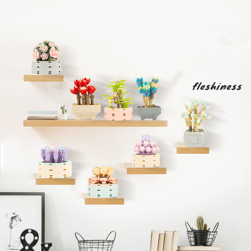 DIY MOC Potted Plants Succulen - огляд і ціна Bonsai Garden Experts
