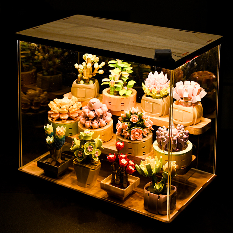 DIY MOC Potted Plants Succulen - огляд і ціна Bonsai Garden Experts