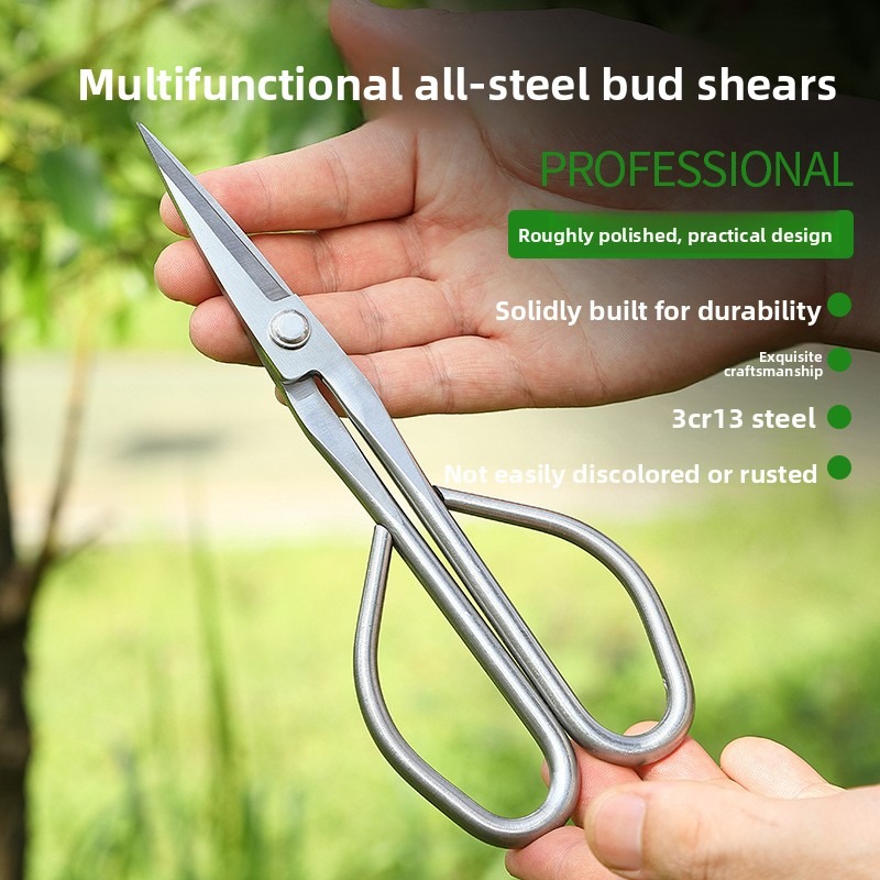 Tender Leaf Scissors Bonsai To - огляд і ціна Bonsai Tool Set