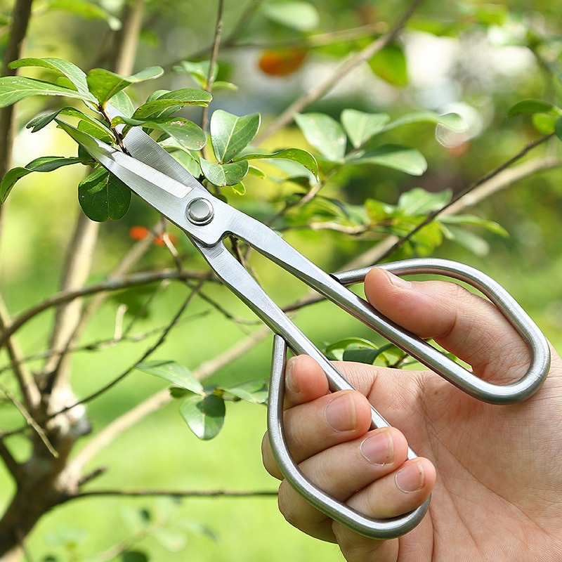 Tender Leaf Scissors Bonsai To - огляд і ціна Bonsai Tool Set