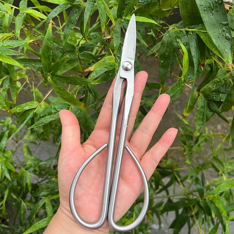 Tender Leaf Scissors Bonsai To - огляд і ціна Bonsai Tool Set
