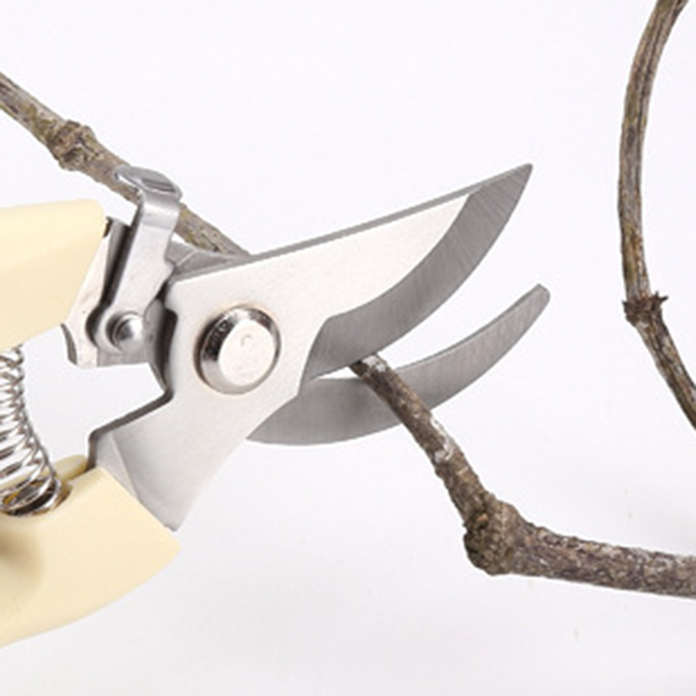 Pruner Shears Hand Tools Bonsa - огляд і ціна Bonsai Tool Set