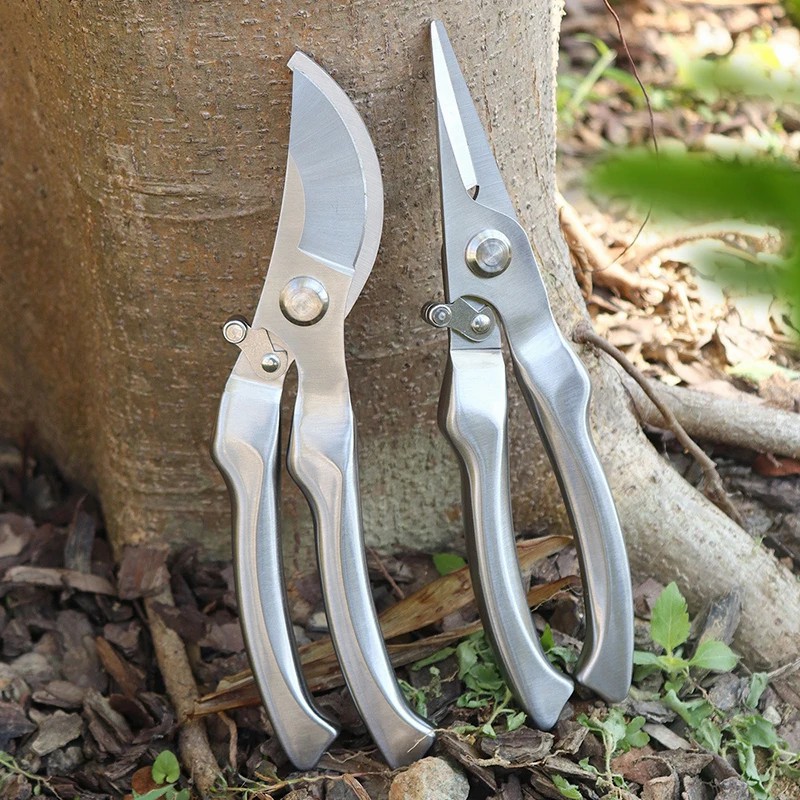 All Stainless Steel Profession - огляд і ціна Bonsai Tool Set