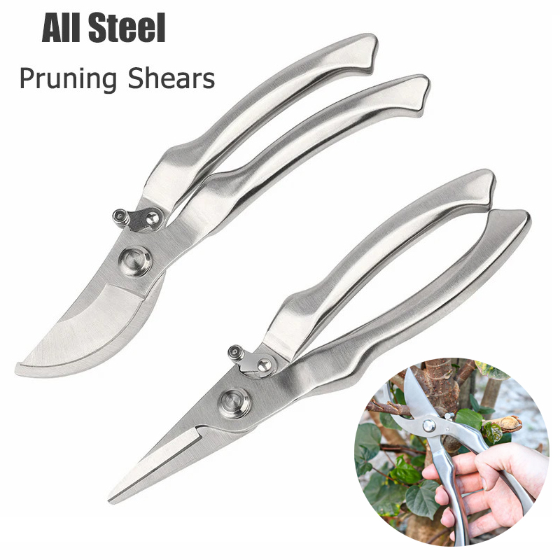 All Stainless Steel Profession - огляд і ціна Bonsai Tool Set