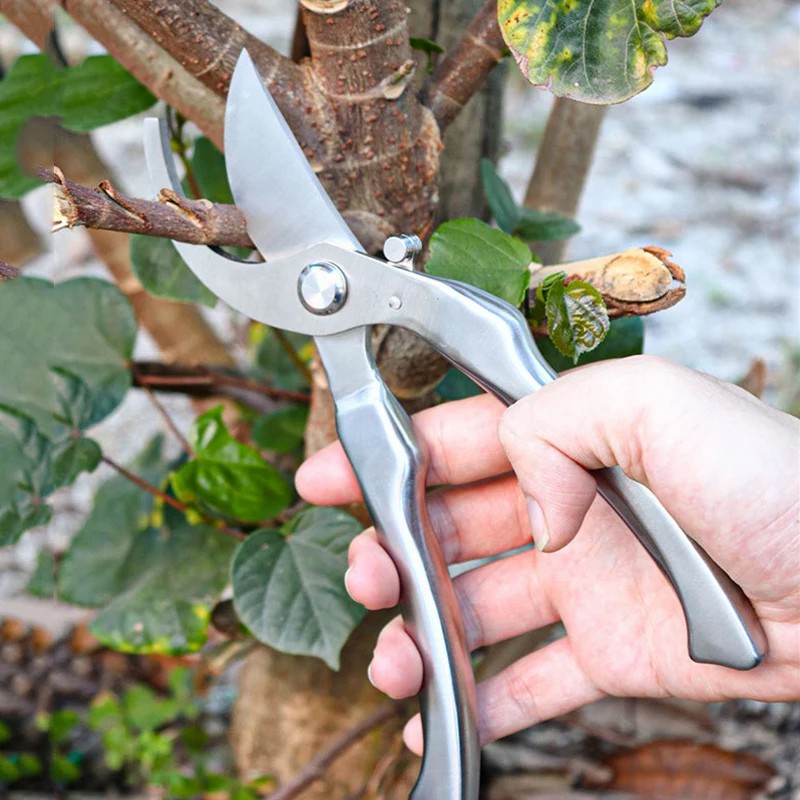 All Stainless Steel Profession - огляд і ціна Bonsai Tool Set